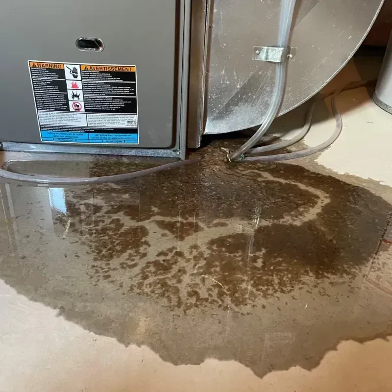 Appliance Leak Cleanup in Poteau, OK